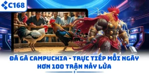 Đá Gà Campuchia - Trực Tiếp Mỗi Ngày Hơn 100 Trận Nảy Lửa